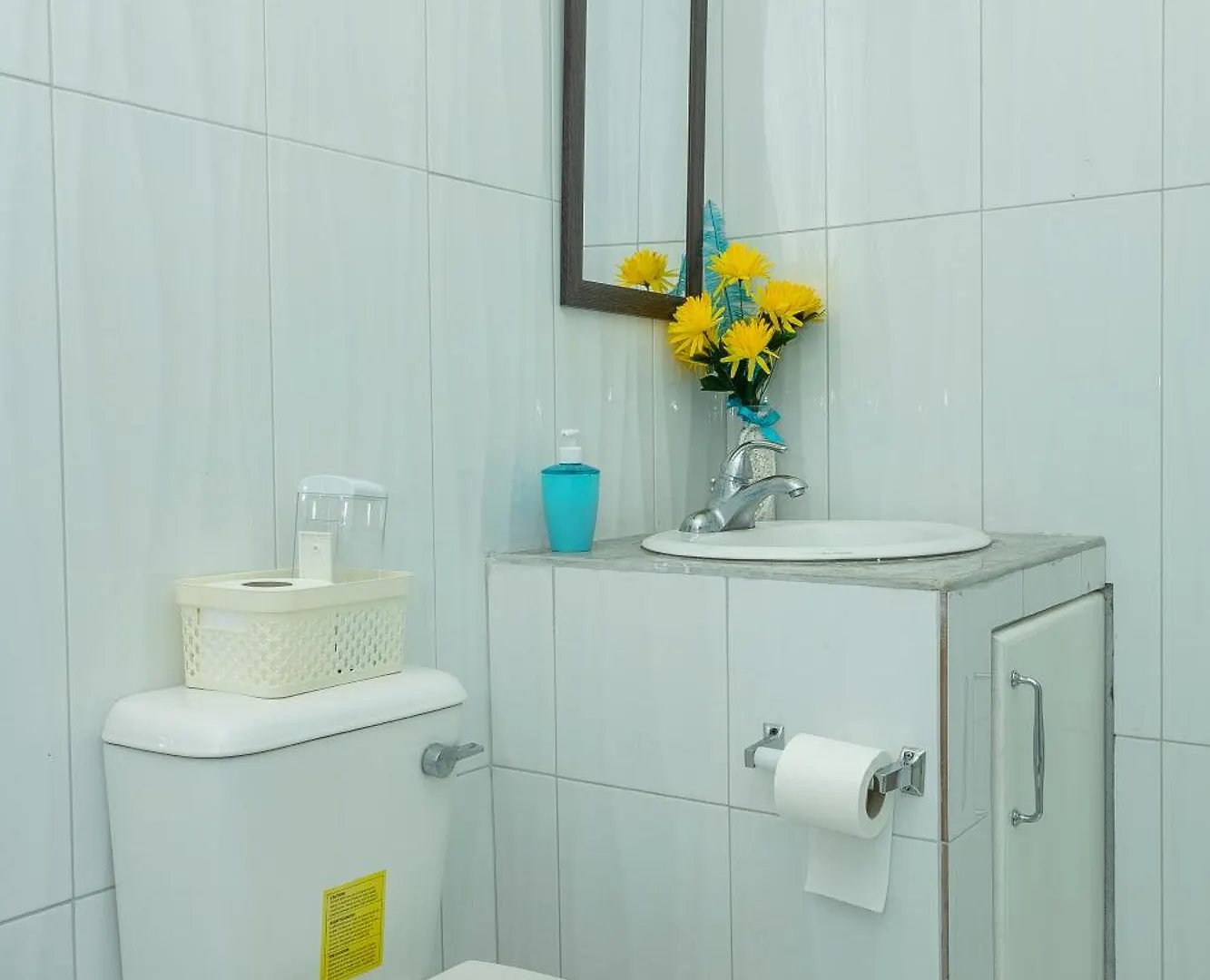 Blue Horizon Apartments Castries